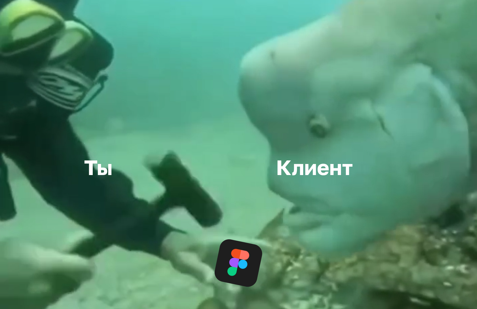 Не показывайте незавершенный дизайн Не отправляйте клиенту незавершенные макеты