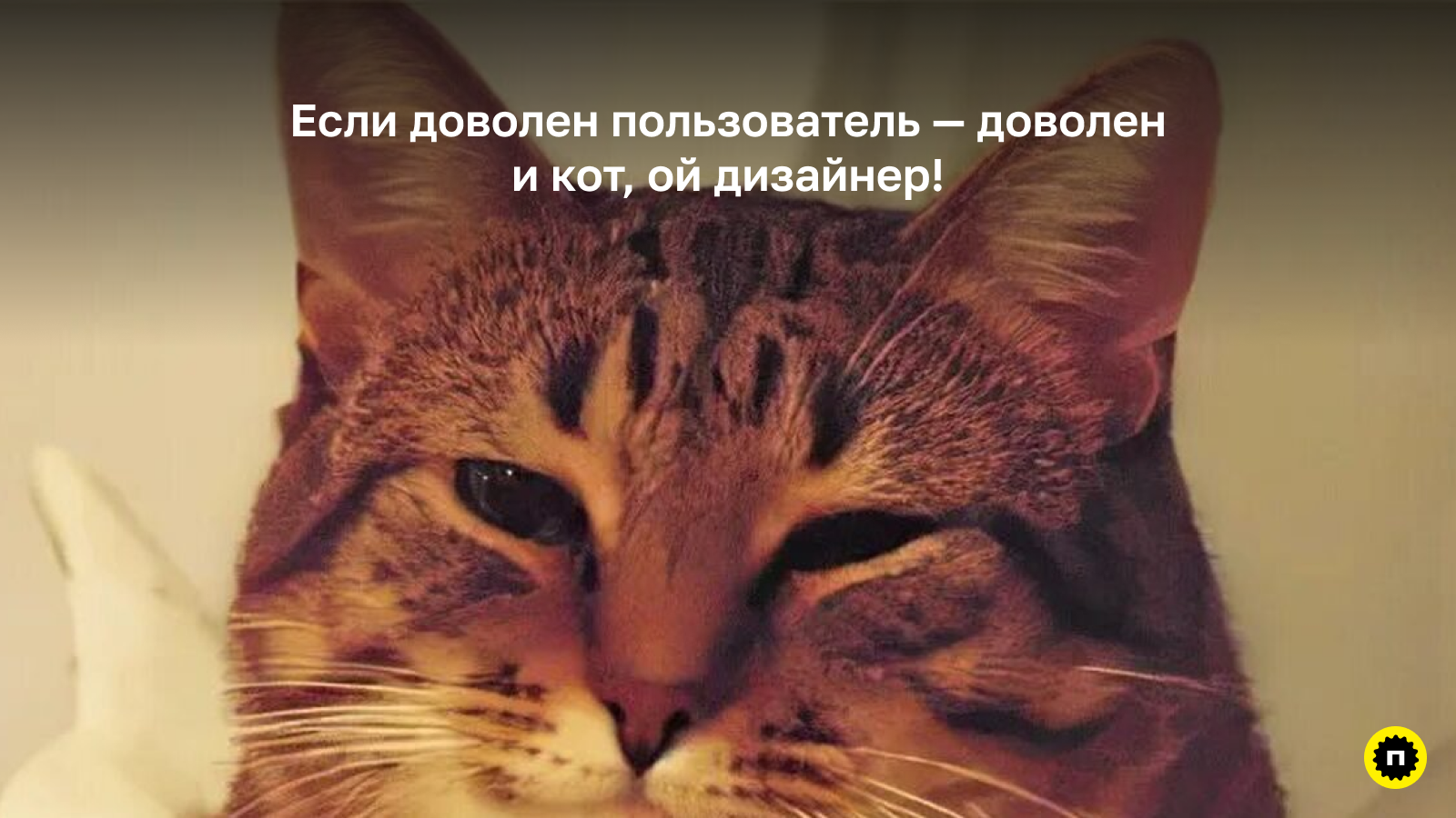 Удобный продукт — счастье для пользователя