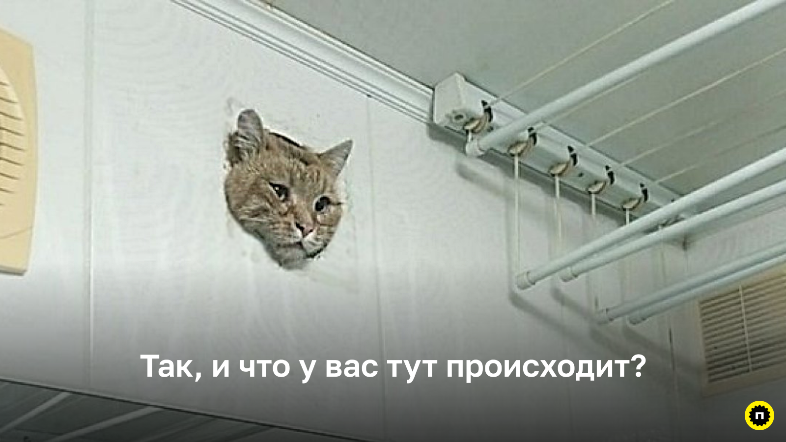 Попытка заглянуть «внутрь головы