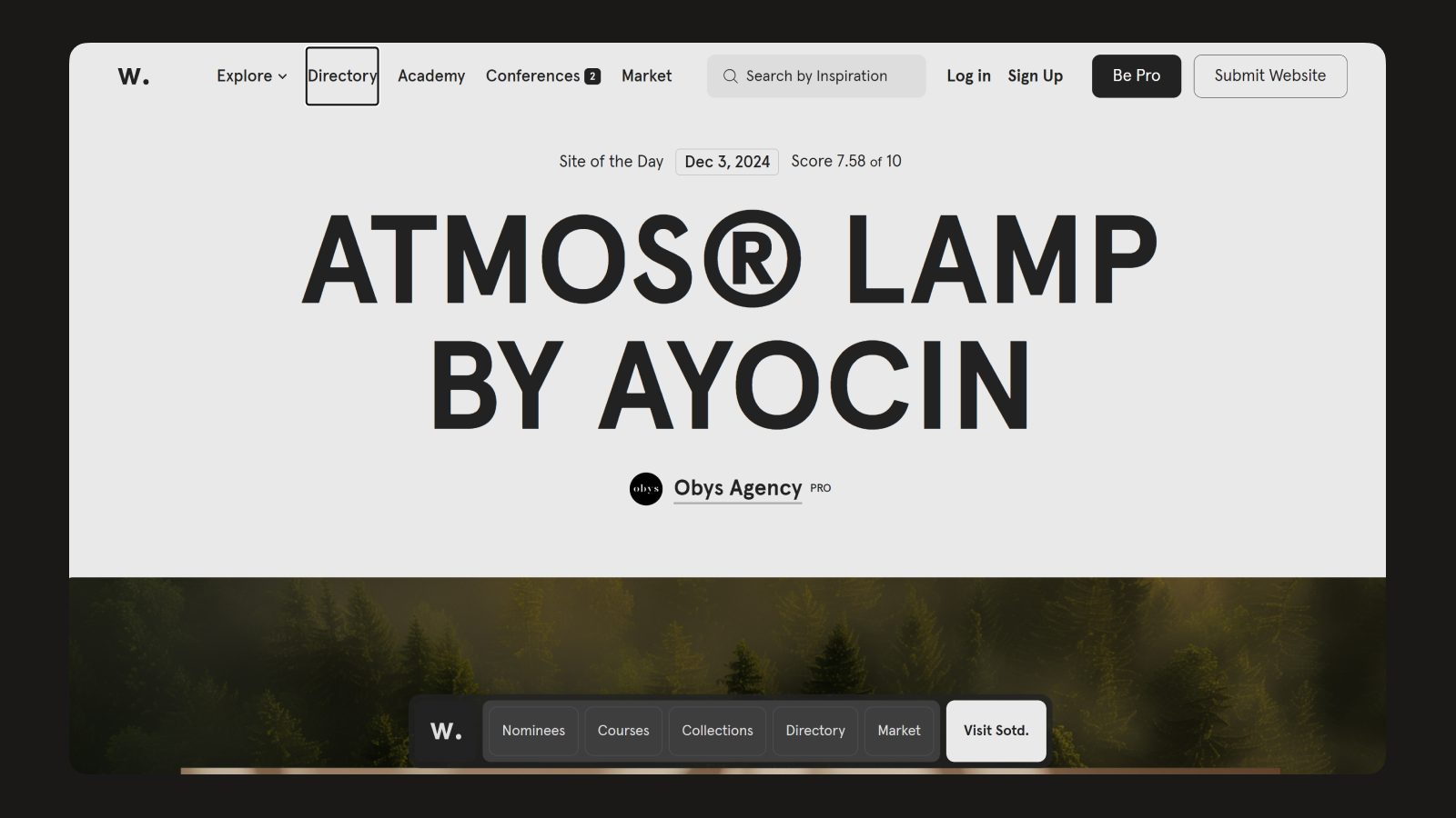 Пример фокусного состояния Фокусное состояние на сайте Awwwards