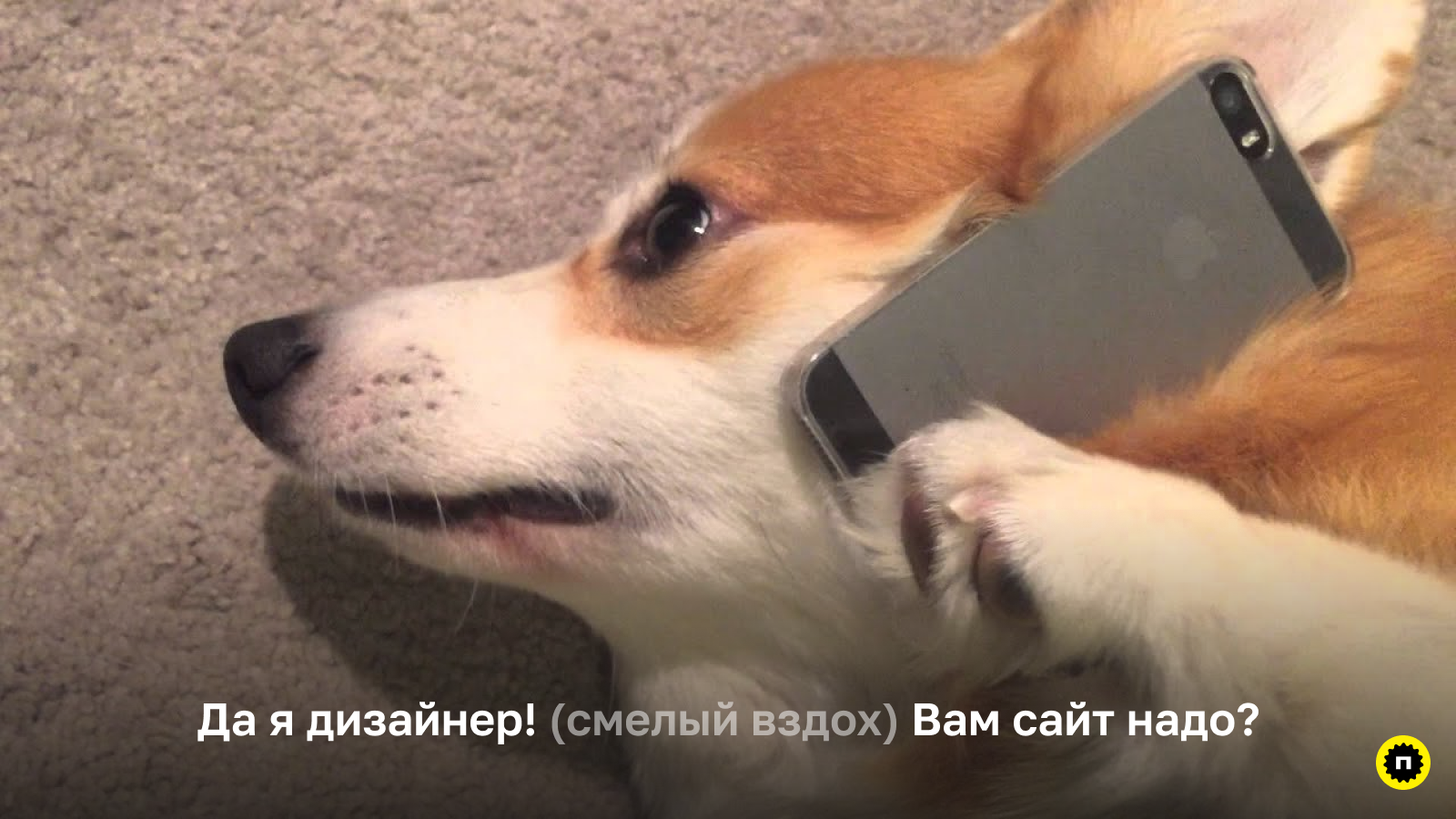 Расскажите, что вы дизайнер Расскажите всем, что вы теперь веб-дизайнер