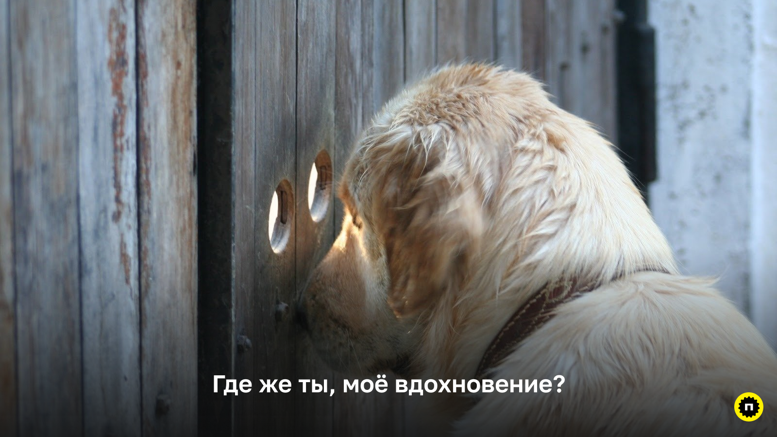 Поиск вдохновения для дизайнера Поиск вдохновения — обязательный этап работы дизайнера