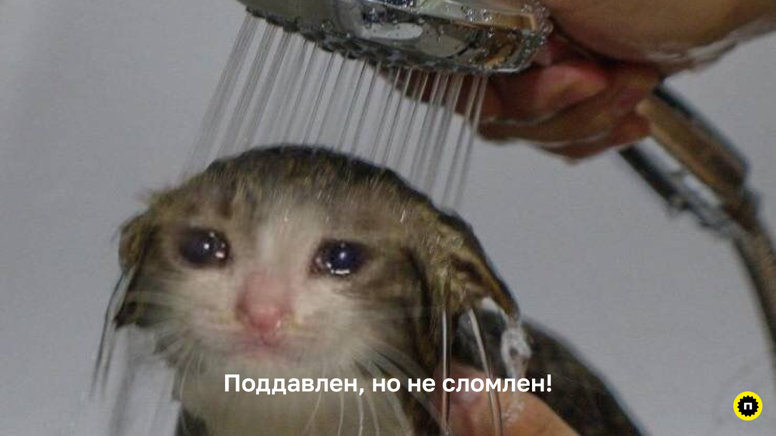 Дизайнер не должен сдаваться Начинающий UX/UI дизайнер не должен сдаваться