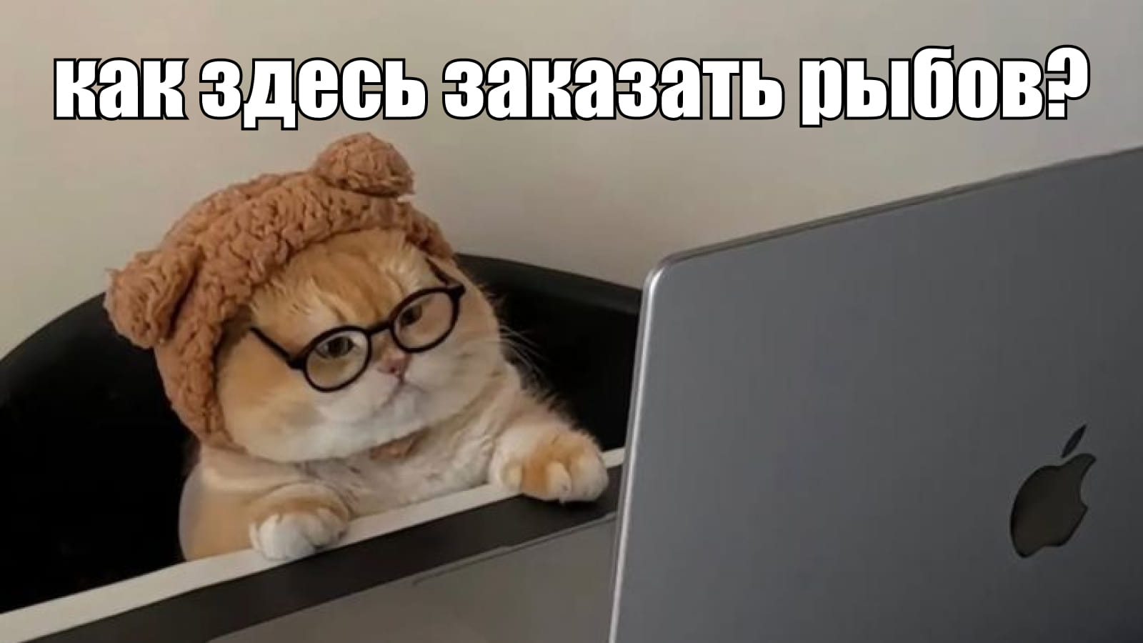 Мем: кот заказывает рыбу в интернет-магазине